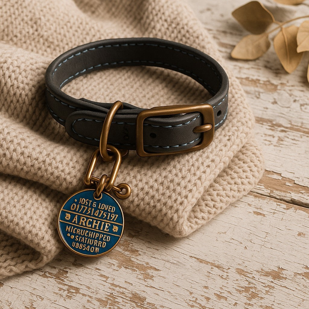 UK Law Requirements for Pet Tags: What You Need to Know