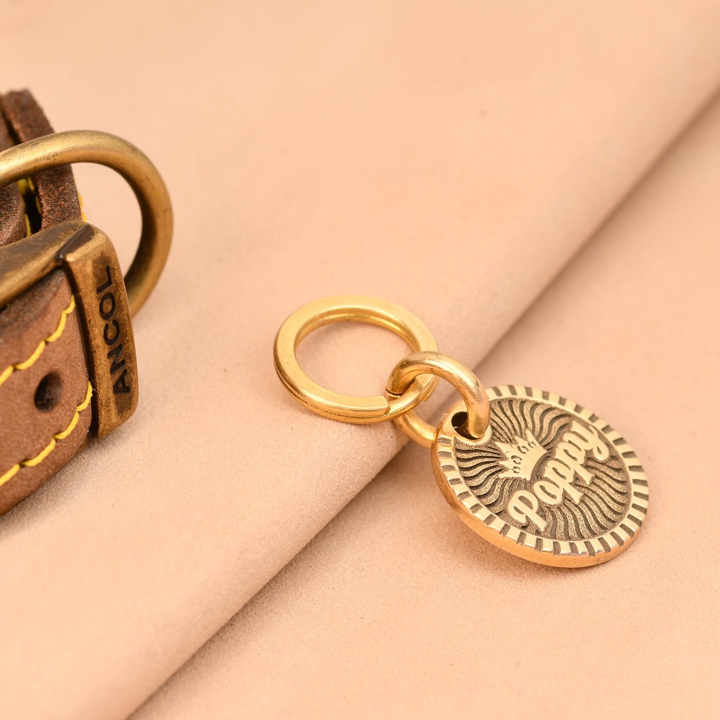 Brown leather dog collar with a gold tag on a beige background
