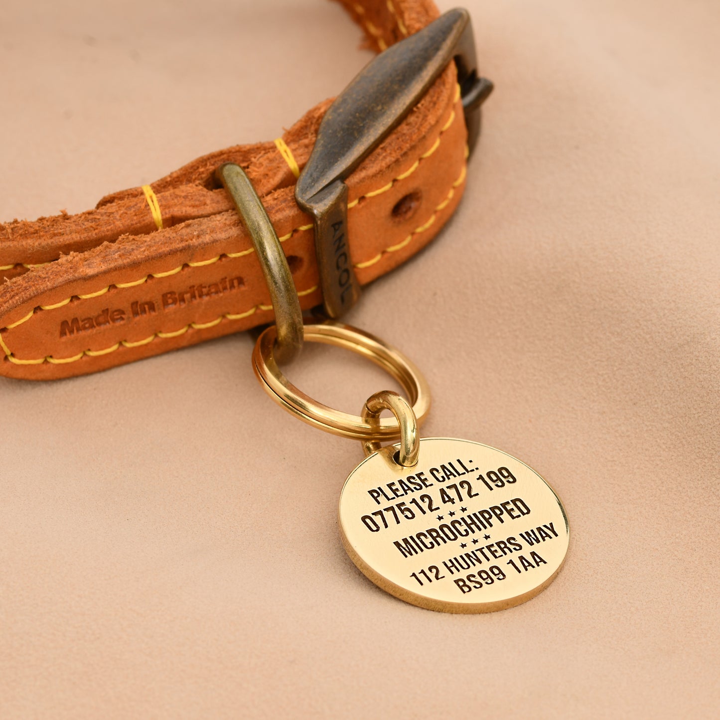 Brass round dog ID tag with deep engraving, handmade in the UK, shown on a collar for size reference.