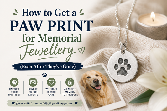 How to Get a Paw Print for Memorial Jewellery (Even After They've Gone) | Tag A Paw