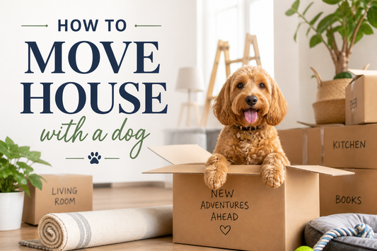 Moving House With a Dog: The Practical Guide (and What Most People Forget) | Tag A Paw
