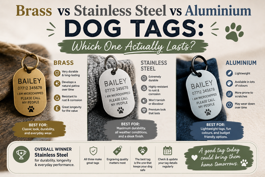 Brass vs Stainless Steel vs Aluminium Dog Tags: Which One Actually Lasts? | Tag A Paw