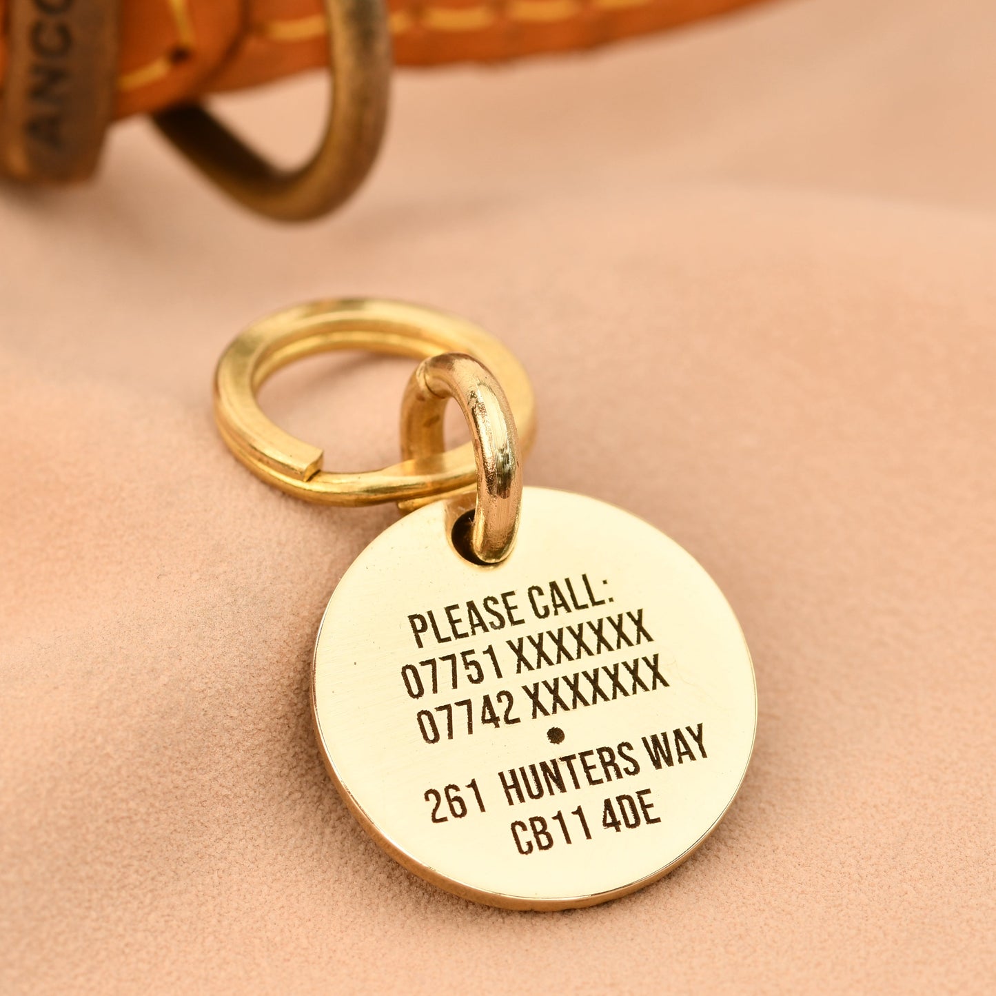 Gold pet tag with engraved information on a beige background