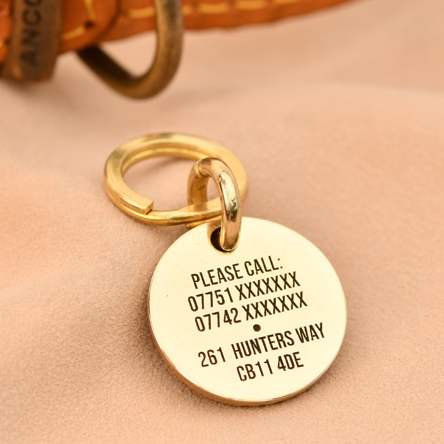 Gold pet tag with engraved information on a beige background