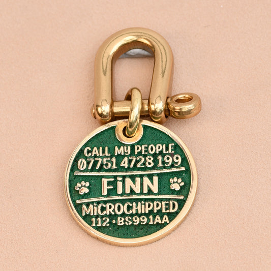 The Classic Brass Disk Dog Tag