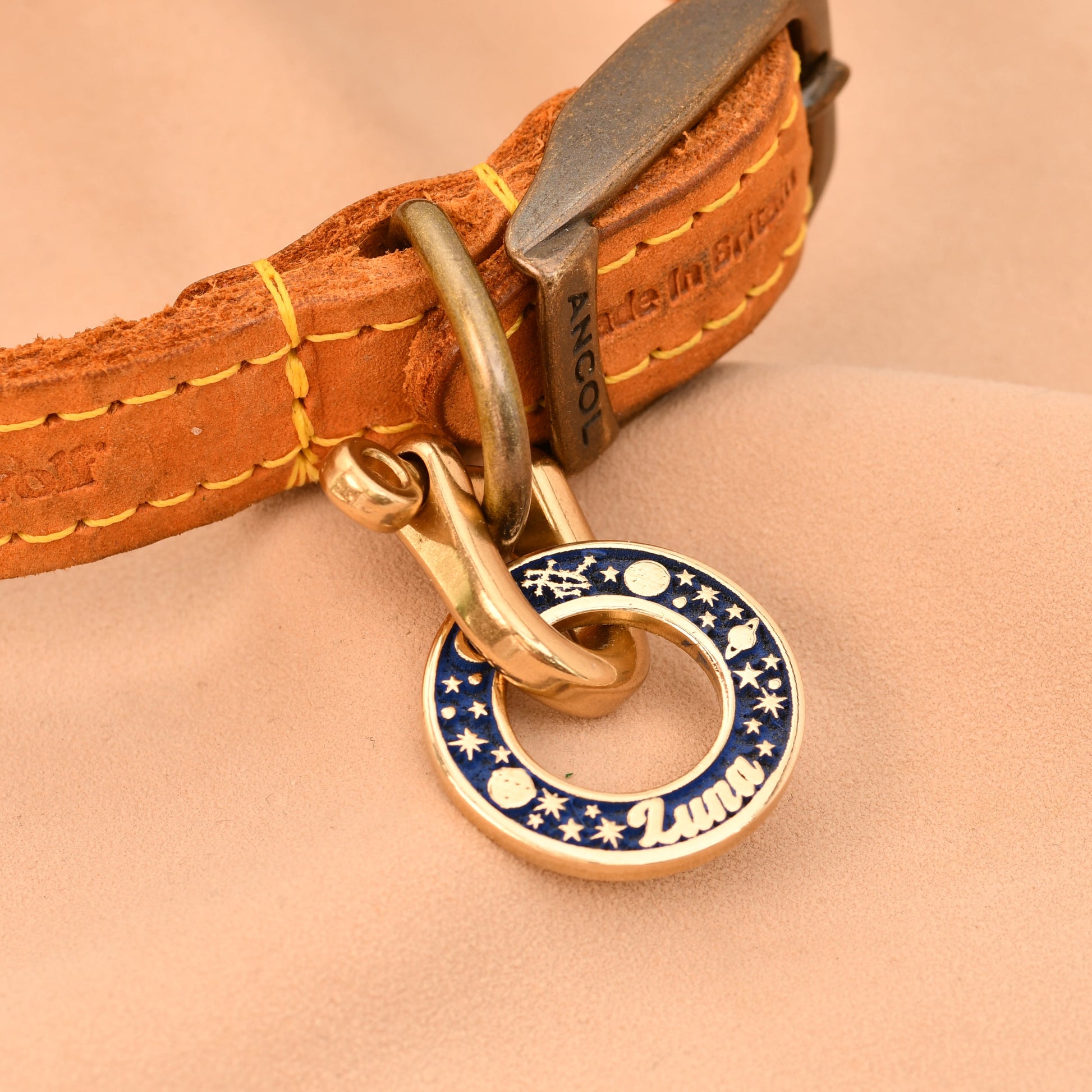 Close-up of a brown leather dog collar with a decorative blue and gold tag on a beige background