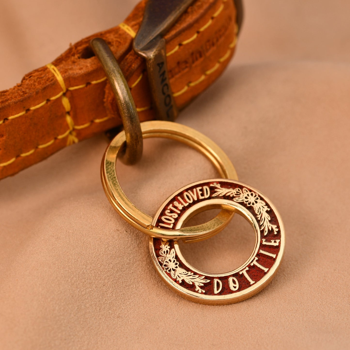 Brown leather dog collar with gold rings and engraved text on a beige background