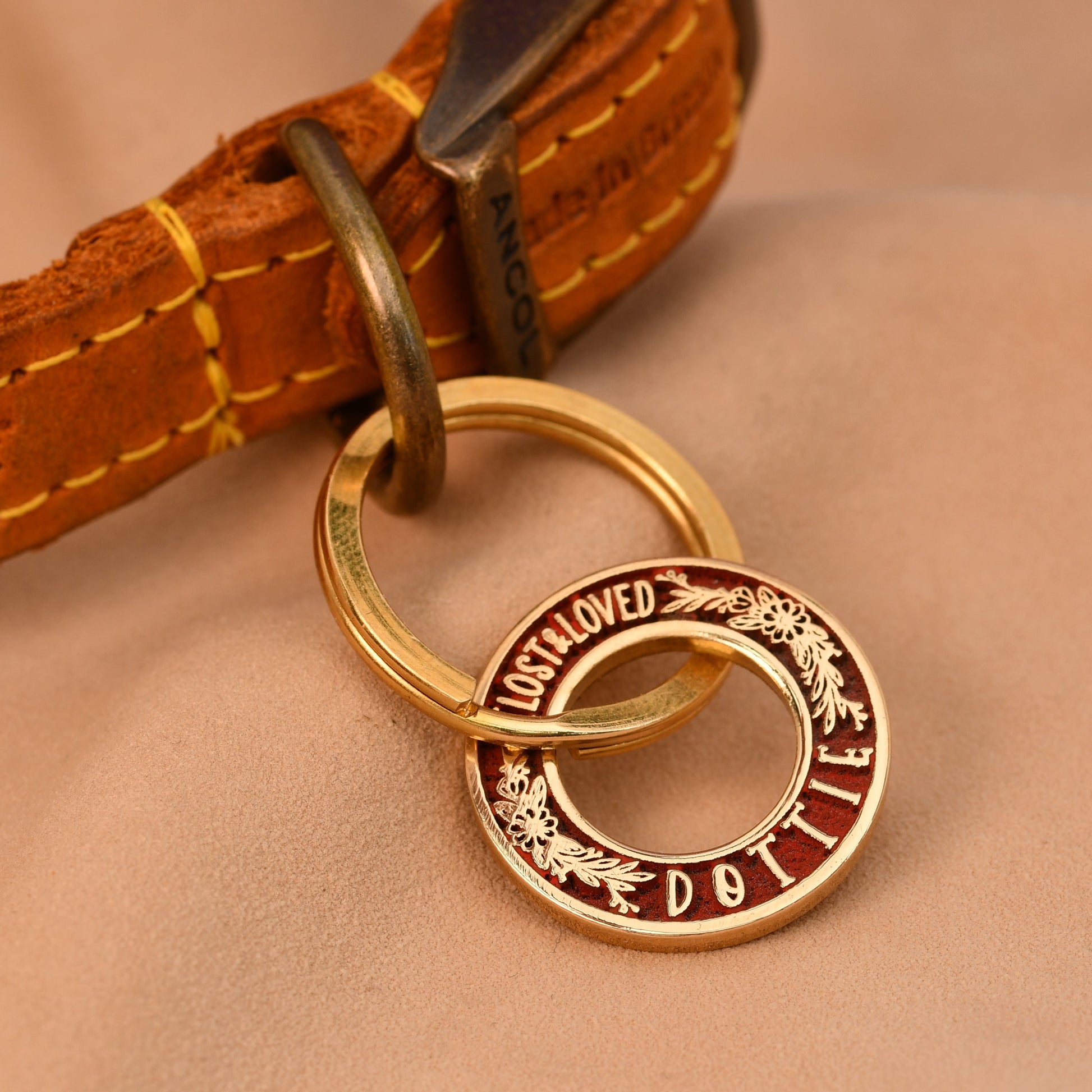 Brown leather dog collar with gold rings and engraved text on a beige background