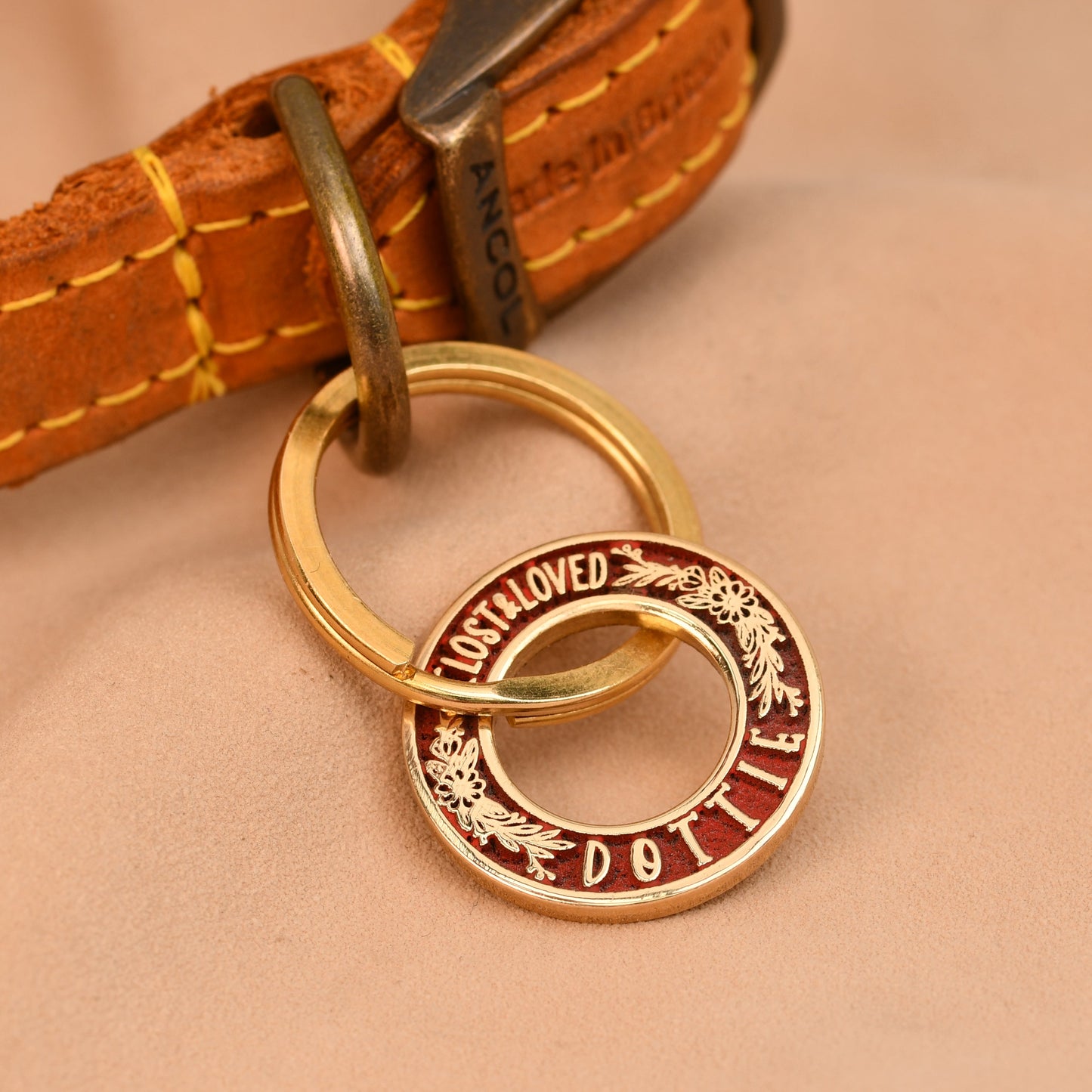 Brown leather dog collar with gold and red tag on a beige background