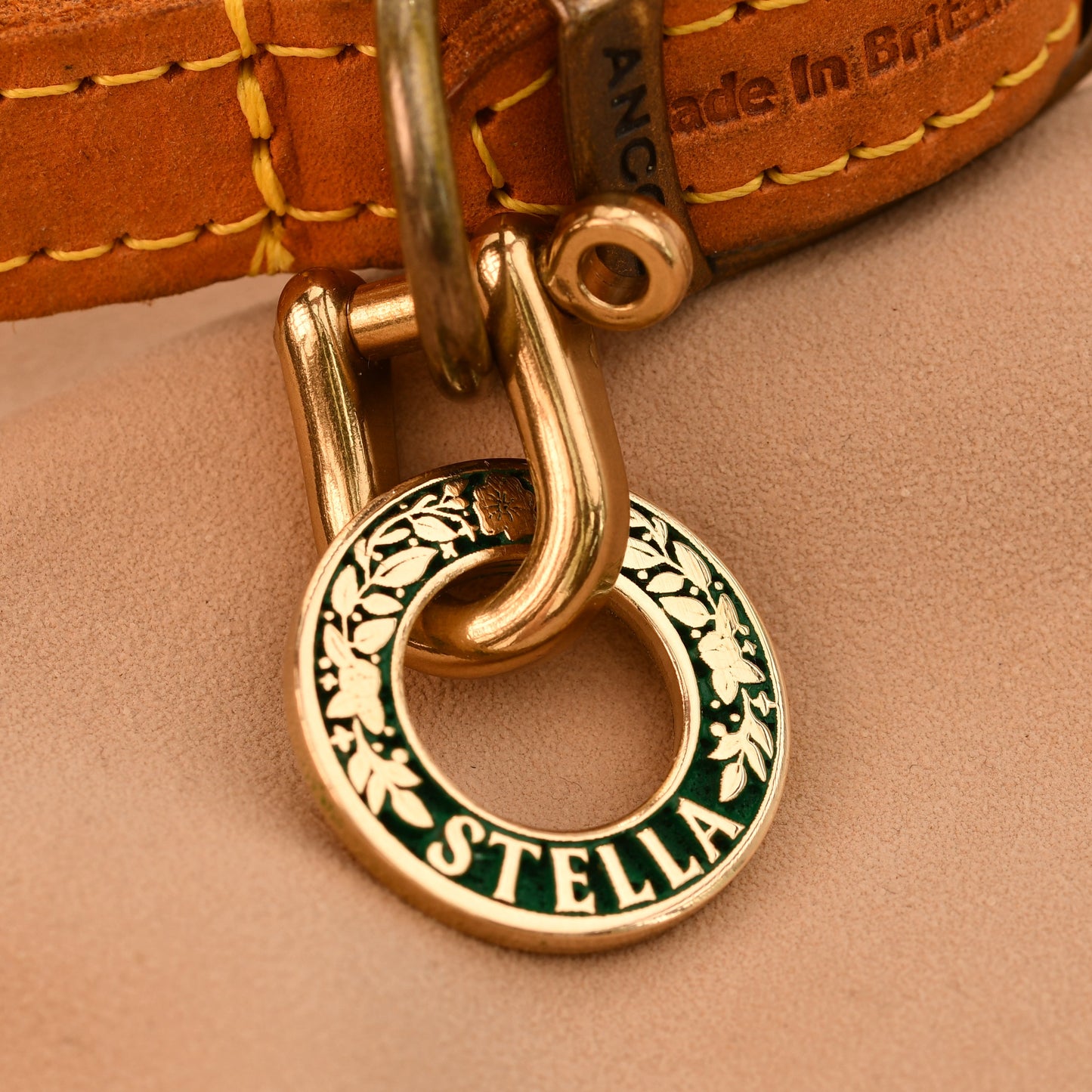 Close-up of a gold and green dog collar tag on a leather background