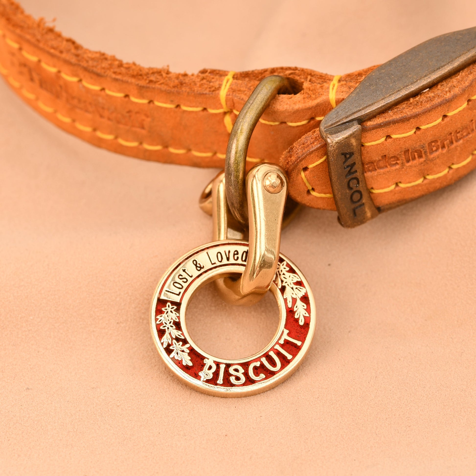 Dog collar with a gold tag on a beige background