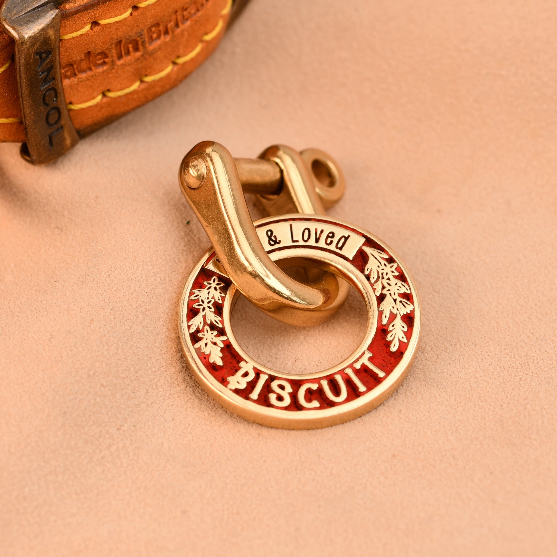 Gold and red pet tag on a beige background