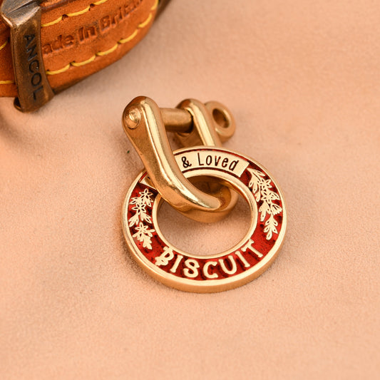 Gold and red pet tag on a beige background