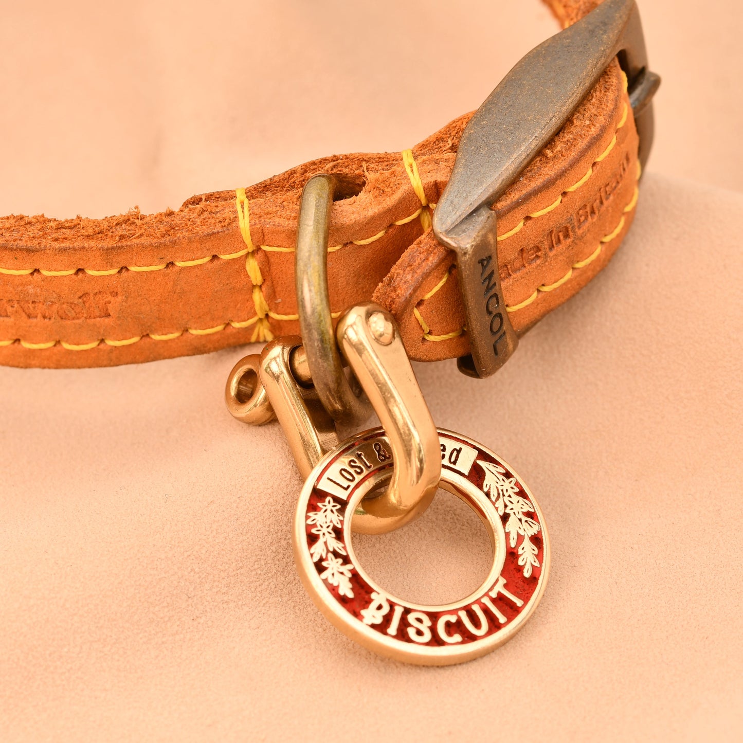 Brown leather dog collar with a gold clasp and red tag on a beige background