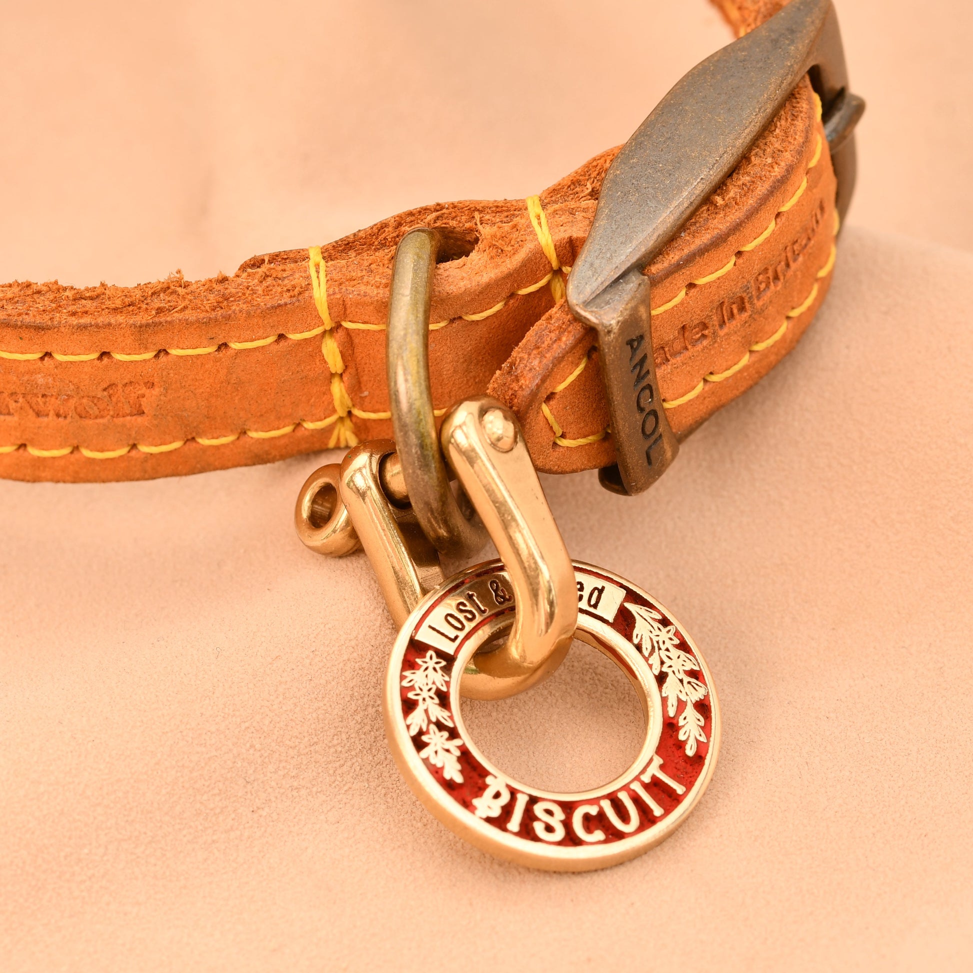 Brown leather dog collar with a gold clasp and red tag on a beige background