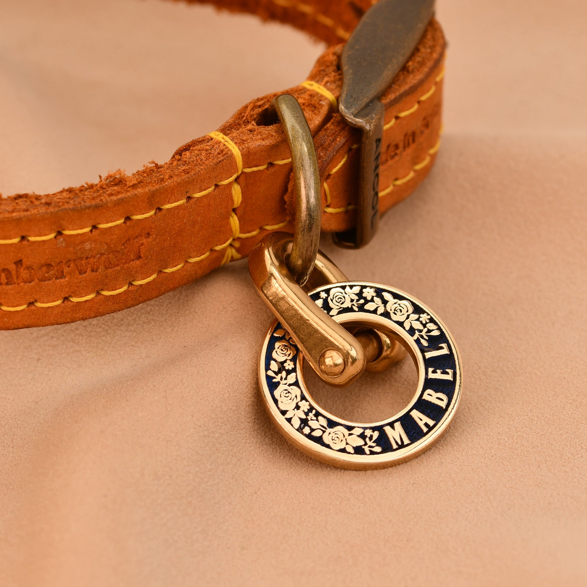 Brown leather dog collar with a gold tag on a beige background