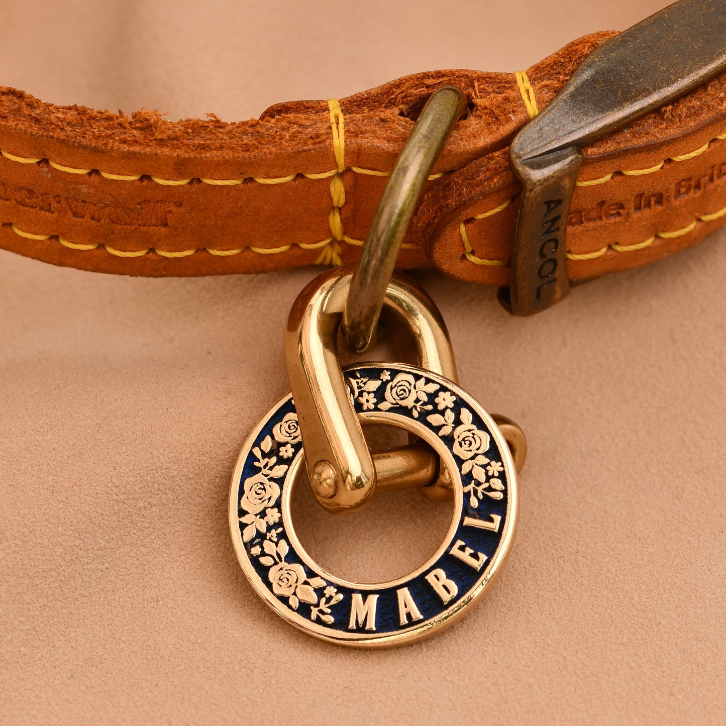 Brown leather dog collar with a gold tag on a beige background