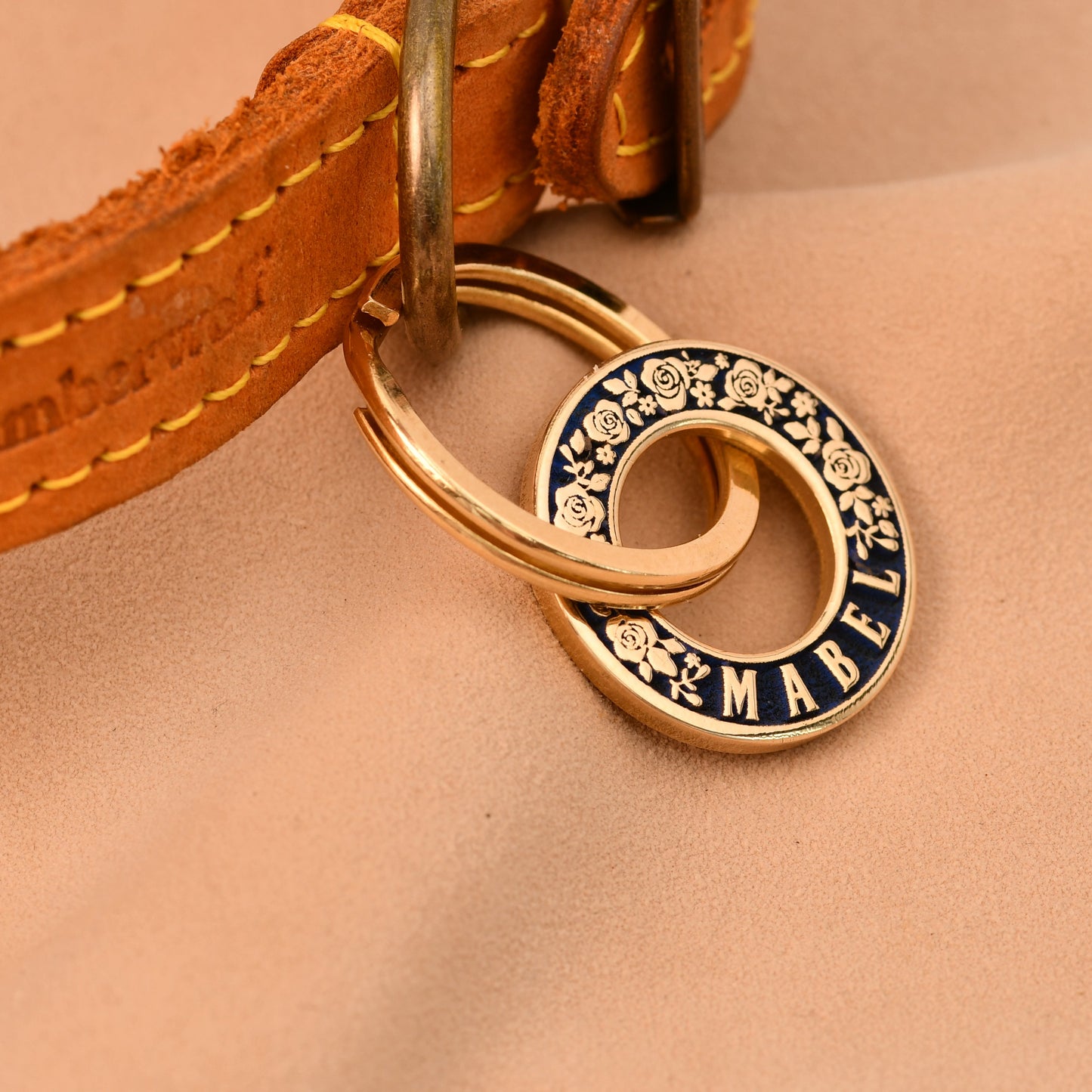 Close-up of a leather dog collar with a gold tag on a beige background