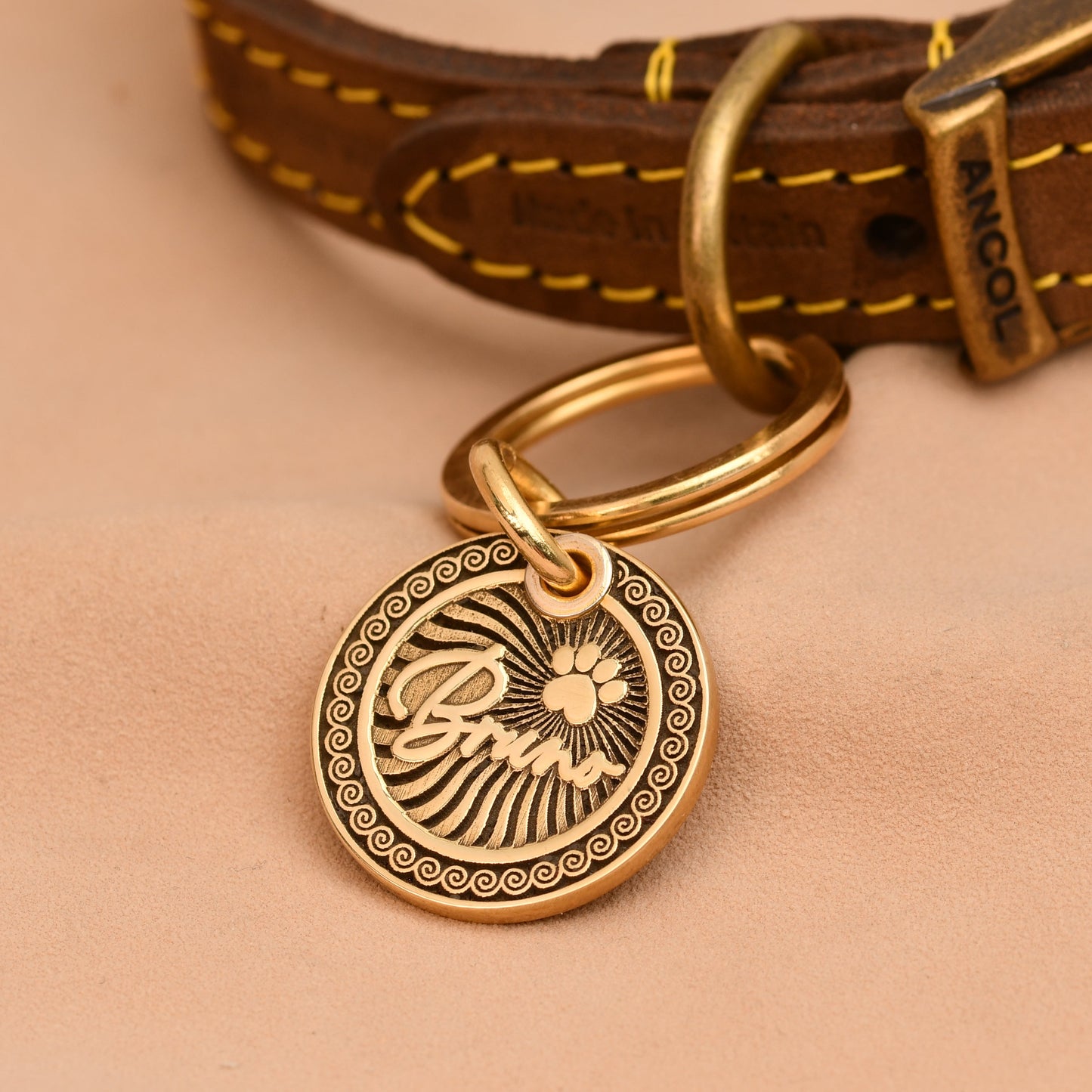 Brown leather dog collar with a gold tag on a beige background