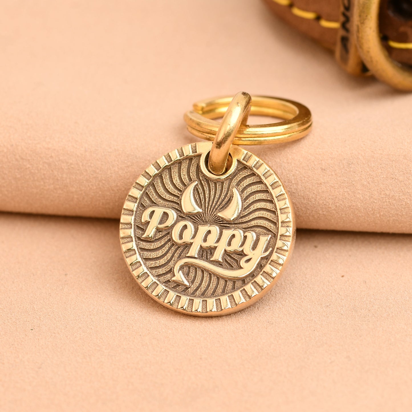 The Petite Crescent Tag — Polished Brass Tag for Cats & Small Dogs