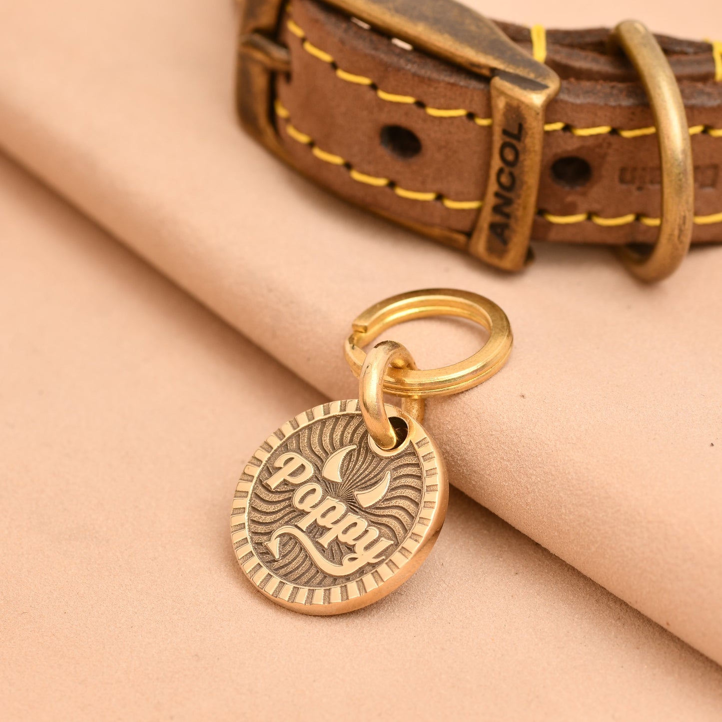 The Petite Crescent Tag — Polished Brass Tag for Cats & Small Dogs