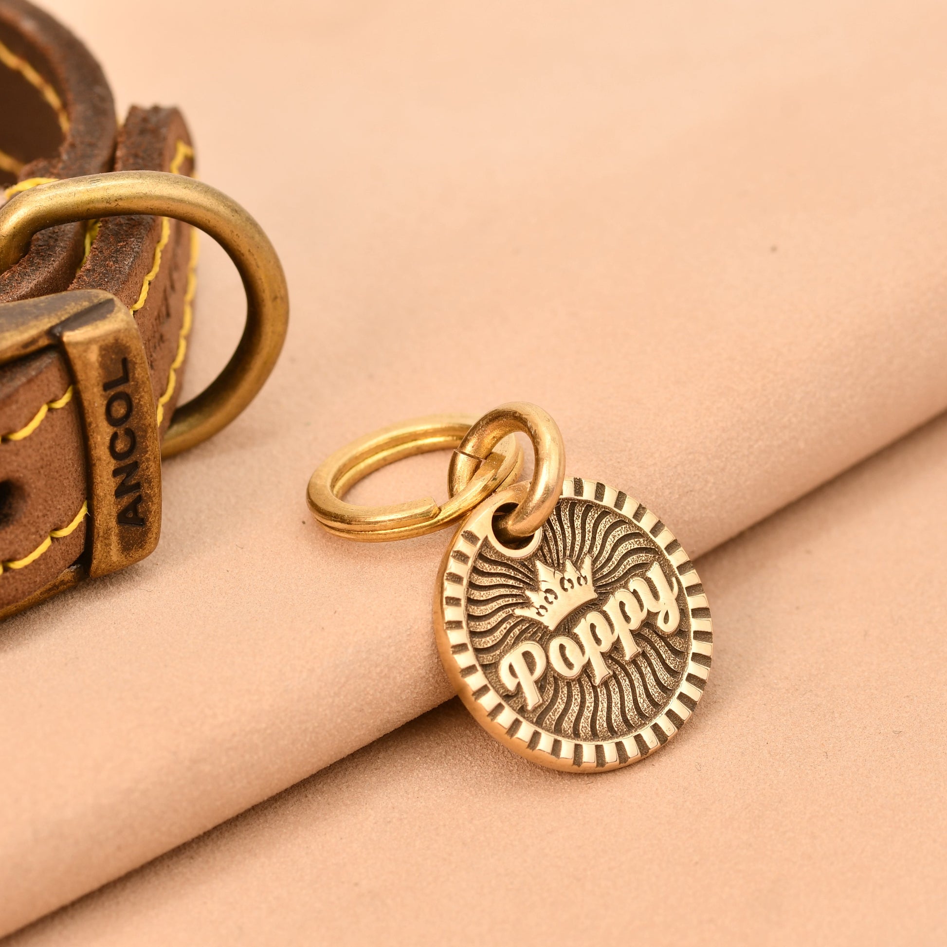 Brown leather dog collar with a gold tag on a beige background