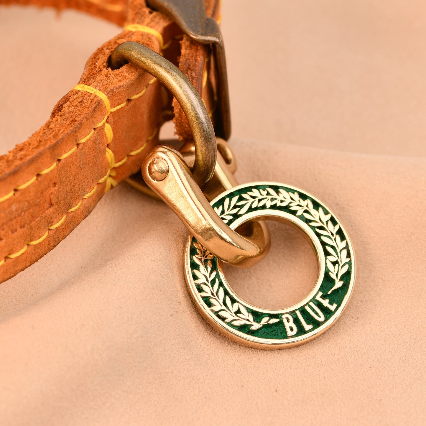 Close-up of a brown leather dog collar with a green and gold tag on a beige background
