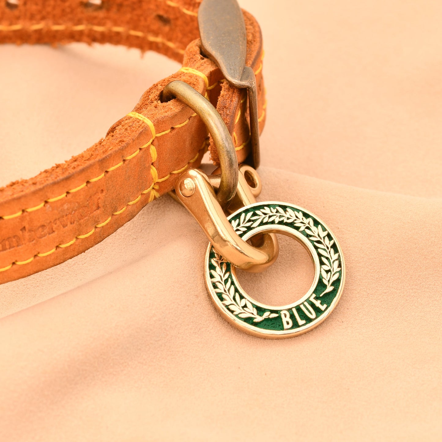 Close-up of a brown leather dog collar with a gold clasp and green charm on a beige background