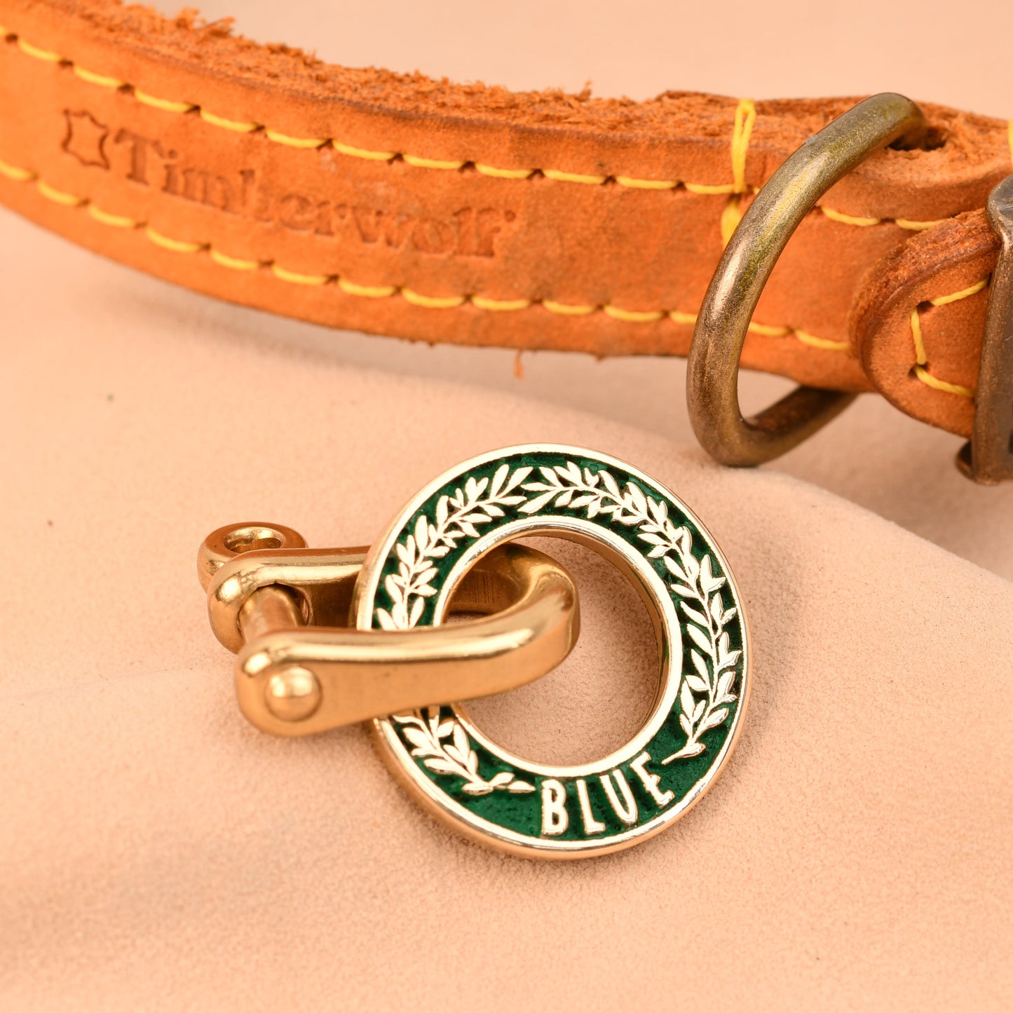 Dog collar with a gold and green tag on a beige background