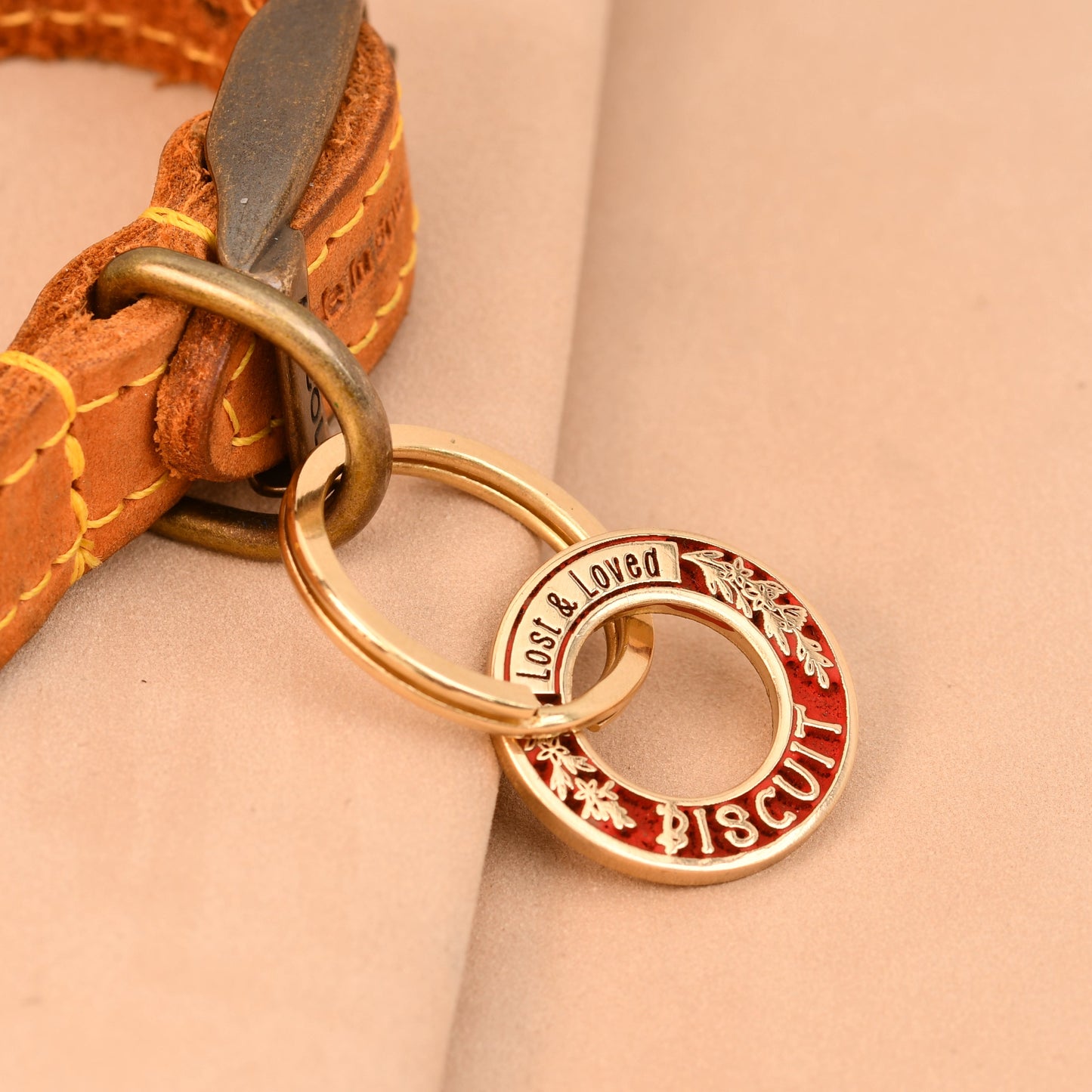 Dog collar with a gold and red tag on a beige background