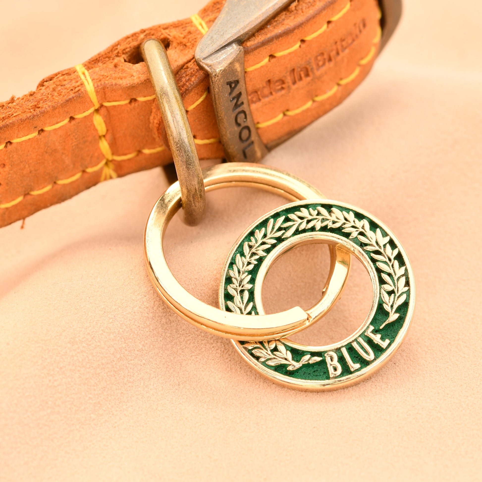 Dog collar with a green and gold tag on a beige background