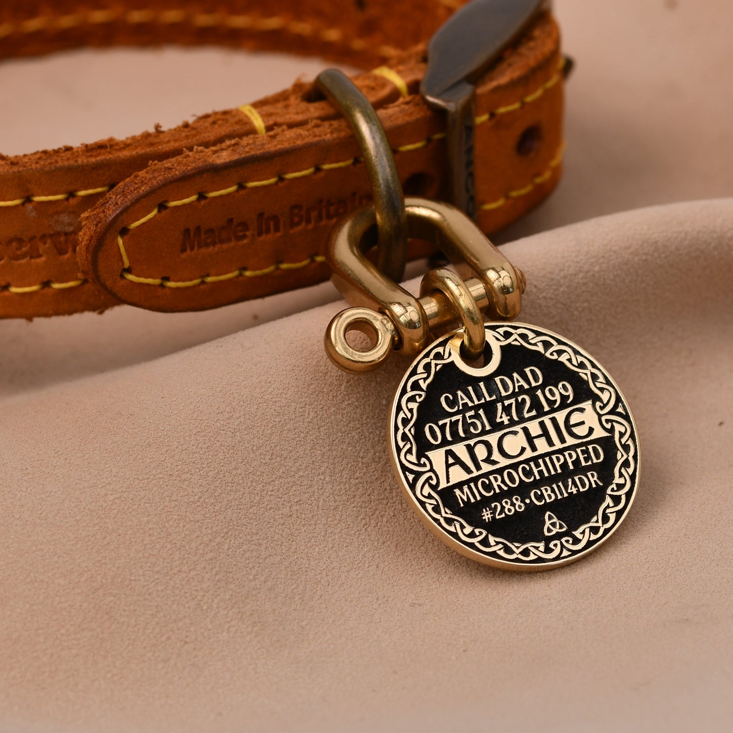 The Heritage Tag — Celtic Border Brass Dog Tag