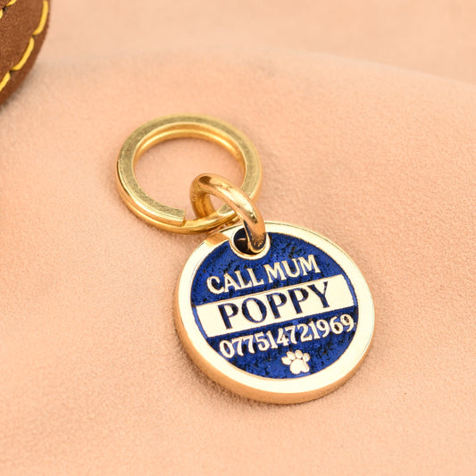 Dog collar with a blue and gold tag on a beige background