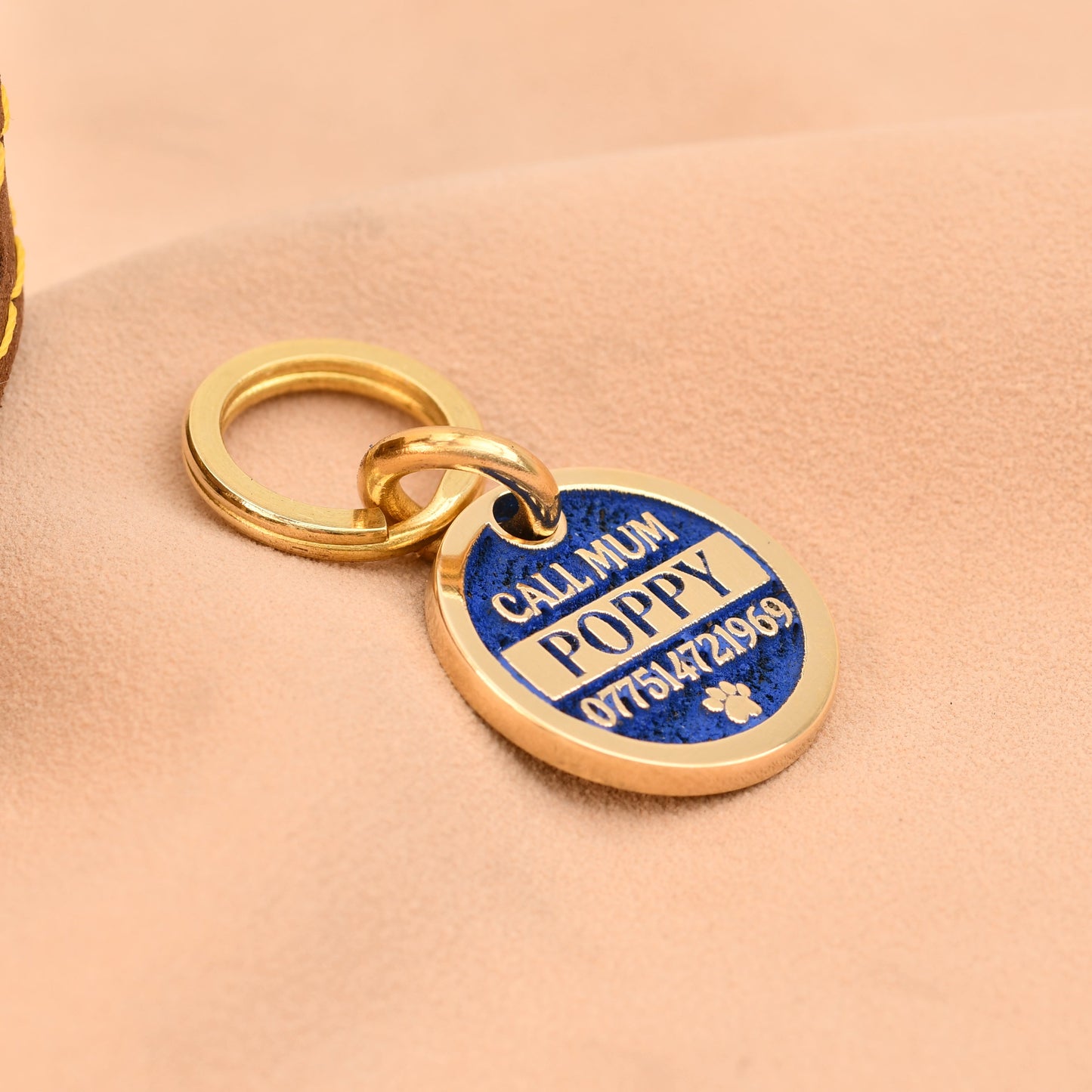 Dog collar with a blue and gold tag on a beige background