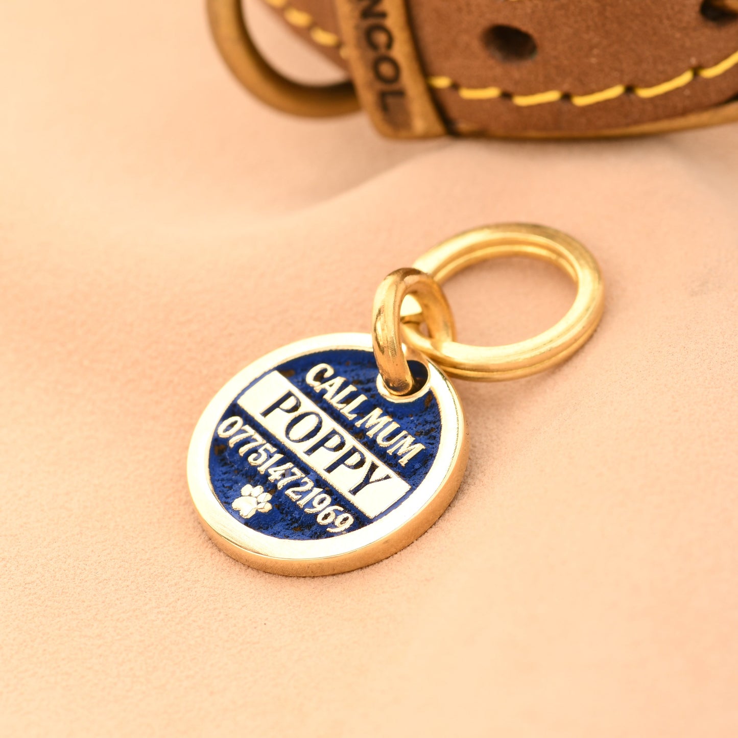 Gold and blue pet tag on a beige background