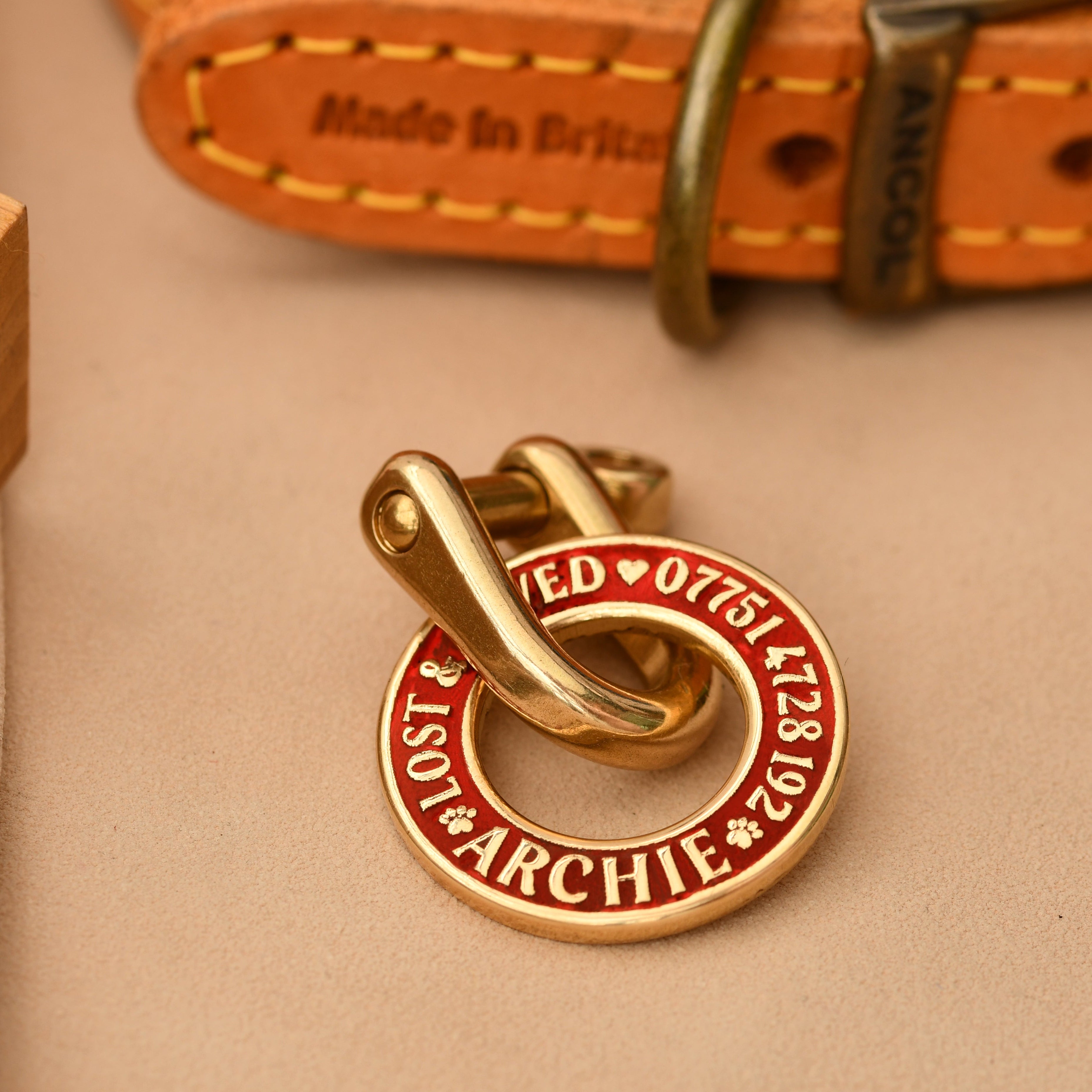 Hoop-shaped brass ID tag with deep custom engraving, handmade in the UK. Suitable for dogs, cats, and horse bridles, shown attached to a collar for display.