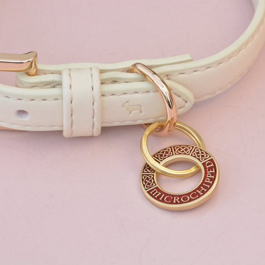 White leather dog collar with a gold buckle and circular charm on a pink background, red celtic pet tag
