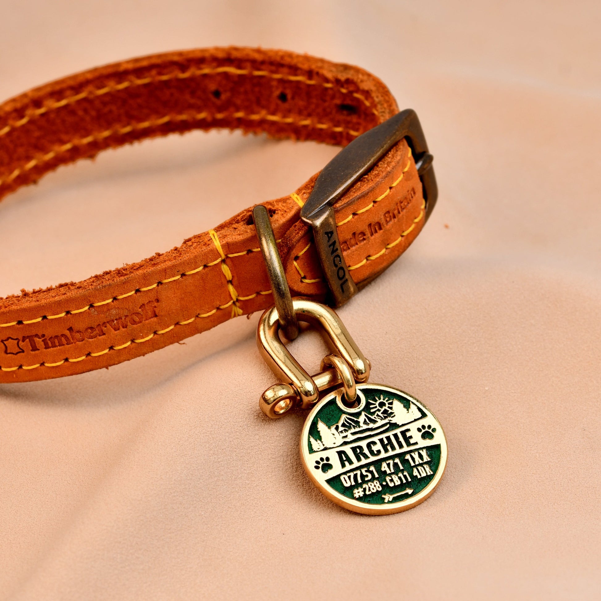 Tag a Paw brass dog tag with engraved mountain scene and dog's details on a tan leather collar.
