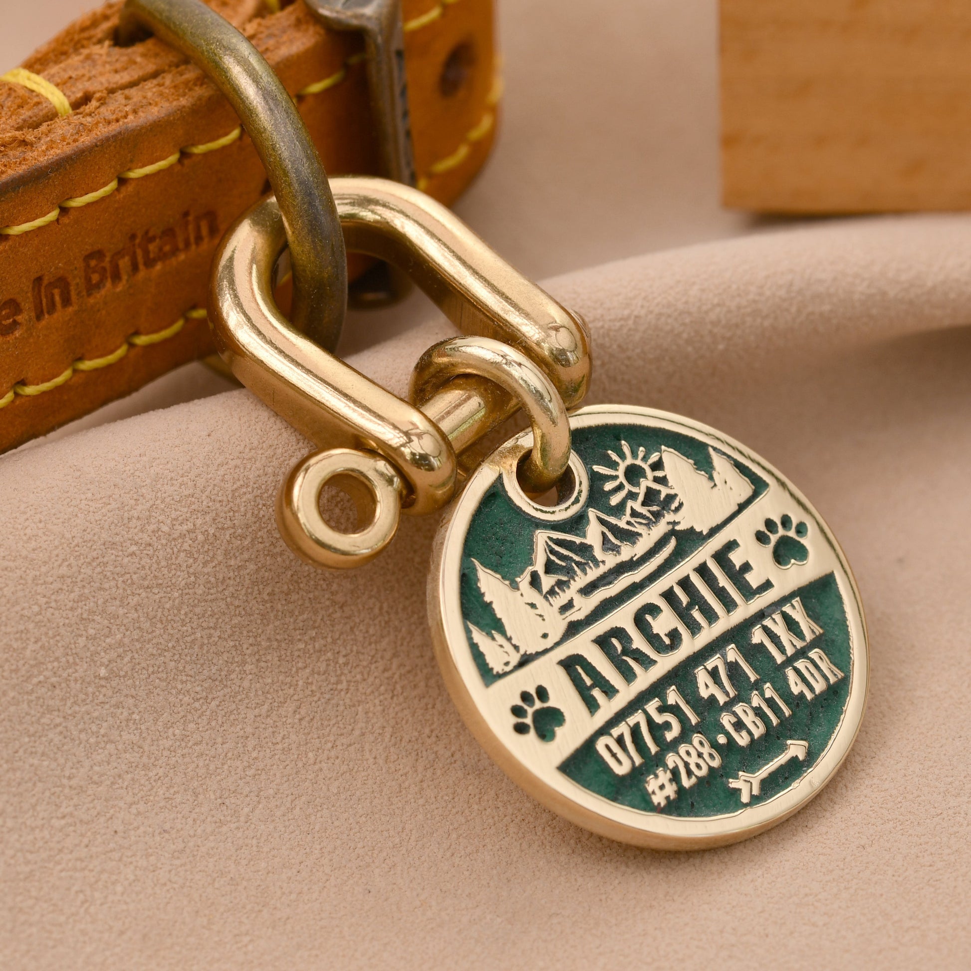 Tag a Paw brass dog tag with green enamel, engraved with mountains, sun, paw prints, and dog's name and contact details.