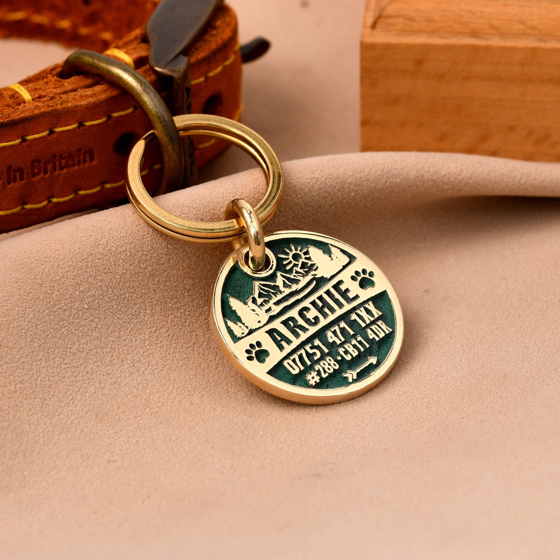 Tag a Paw brass pet ID tag with mountain scene engraving and green fill. Features dog's name 'ARCHIE' and contact details.