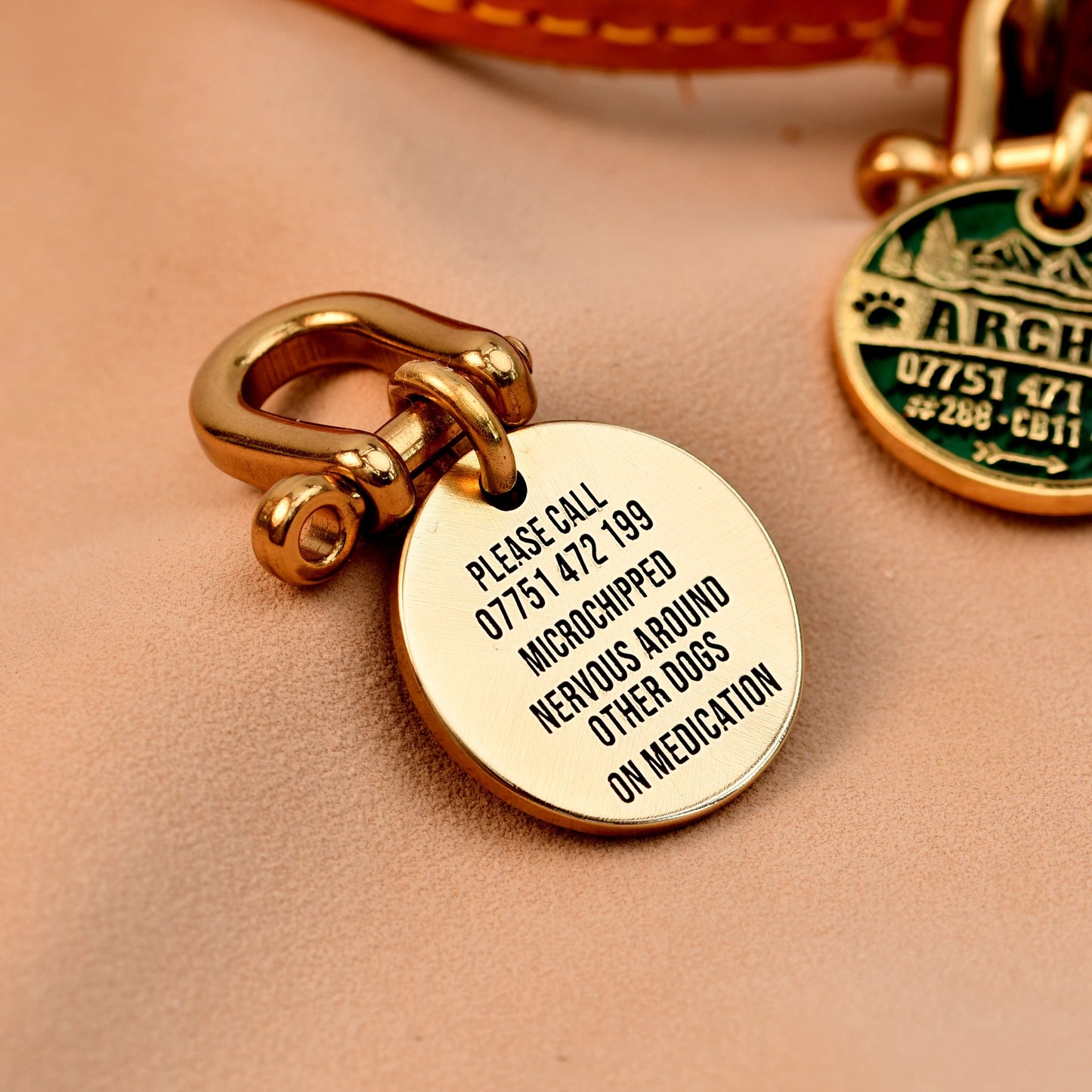 Tag a Paw brass dog tag engraved with contact info and medical notes, attached to a sturdy gold clasp.