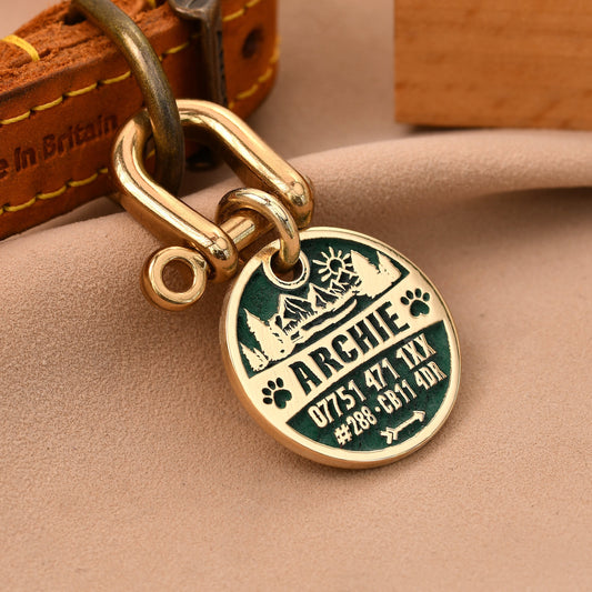 Tag a Paw brass pet ID tag with green enamel, featuring a mountain and sun design, engraved with 'ARCHIE' and contact details.